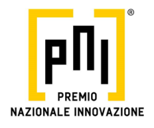 Logo PNI
